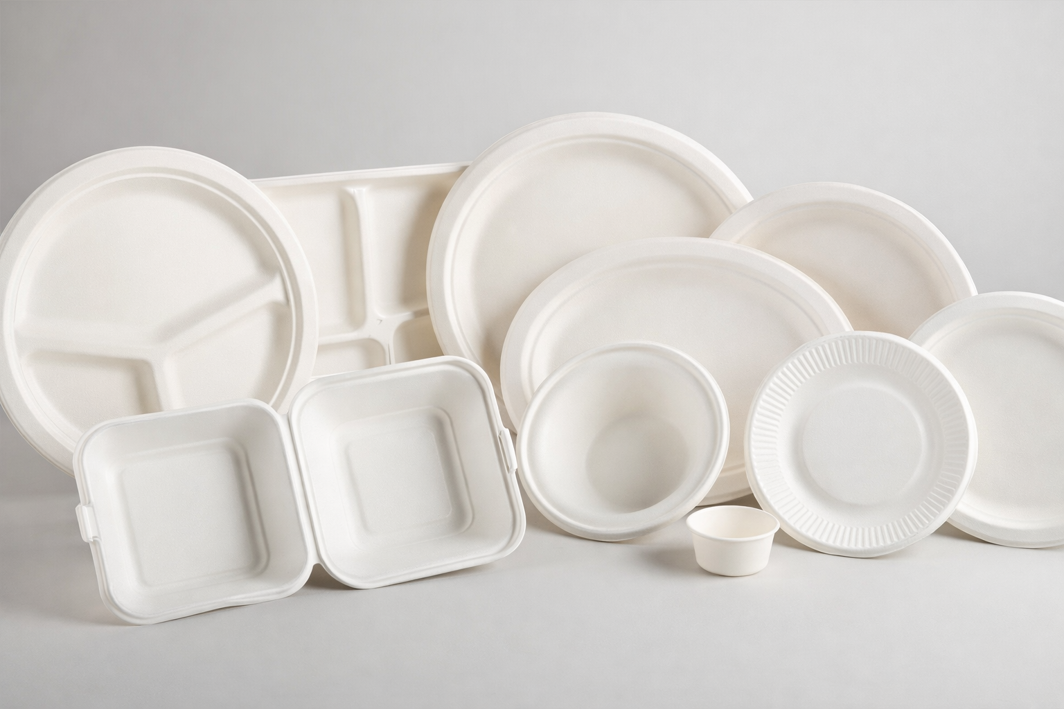 Bagasse Tableware