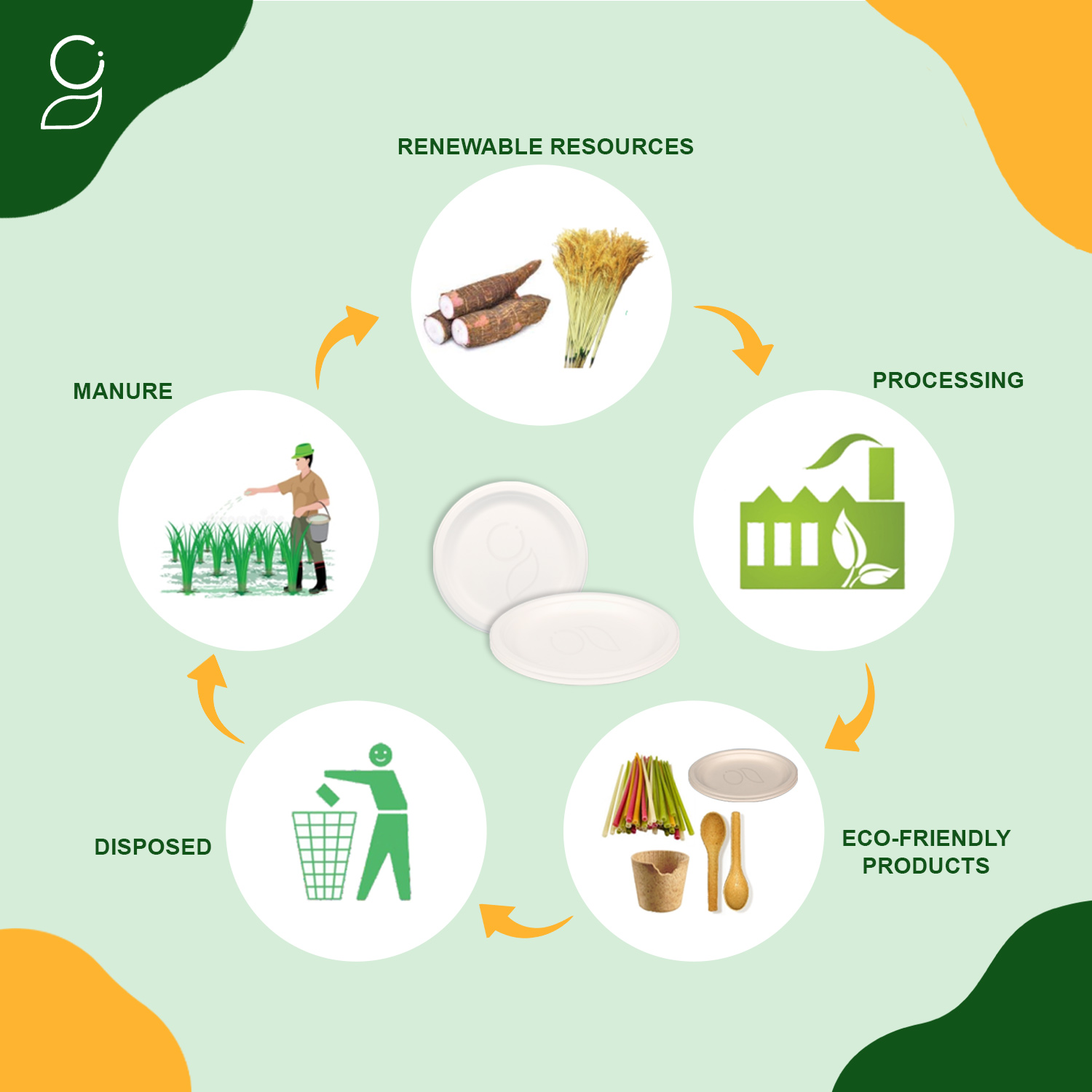 Is Bagasse Tableware Oil Resistant?